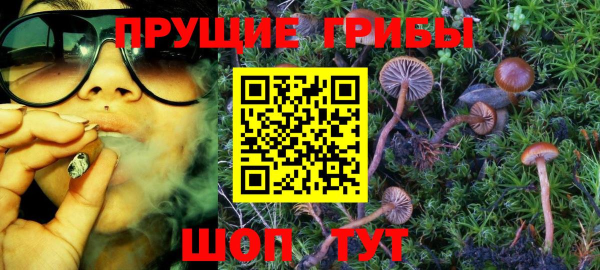 Назрань  Псилоцибиновые грибы мухоморы  Вход с VPN  магазин  наркотиков  Галлюциногенные грибы GOLDEN TEACHER 