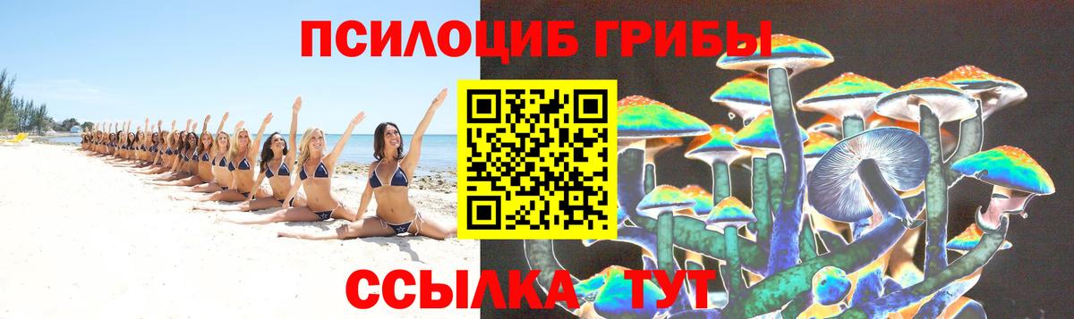 Псилоцибиновые грибы MAGIC MUSHROOMS Назрань